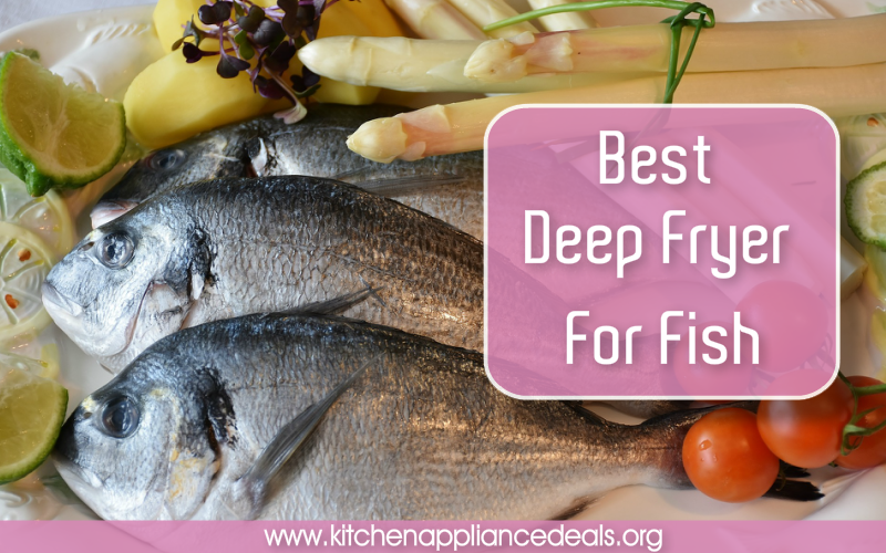 best electric fish fryer