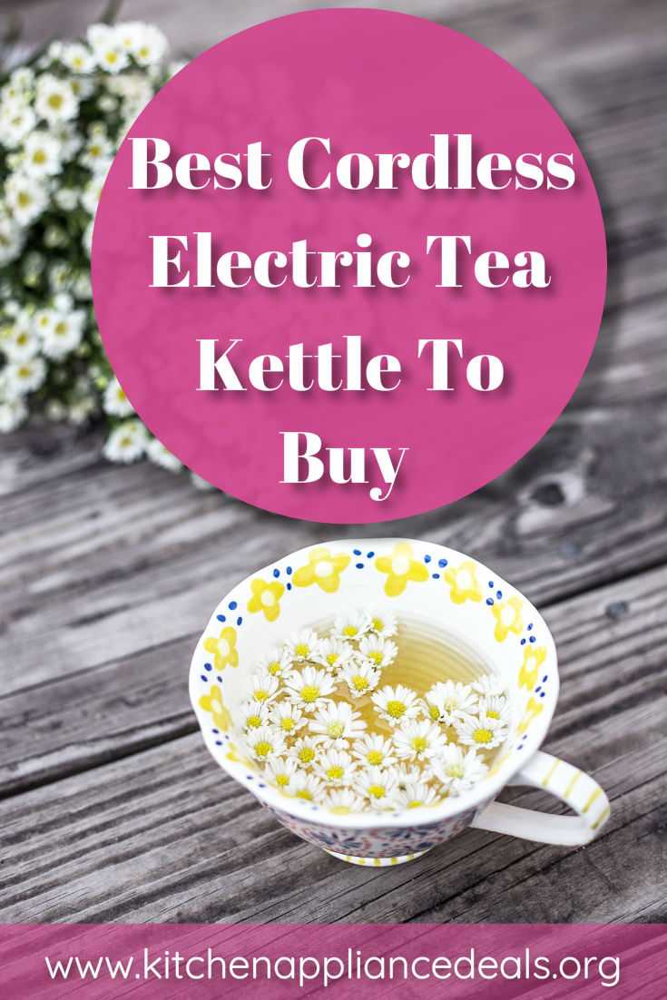 best portable electric kettle