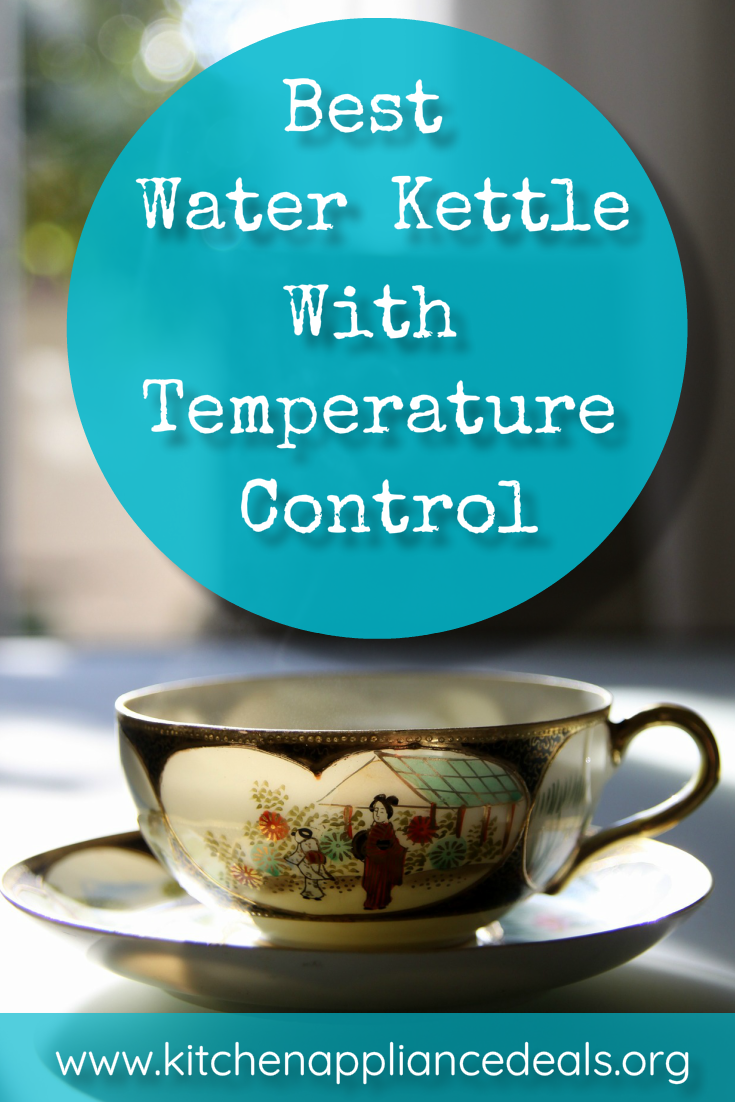 best water kettle with temperature control