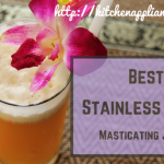 Best Stainless Steel Masticating Juicer