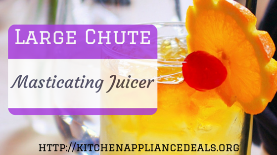 Large Chute Masticating Juicer