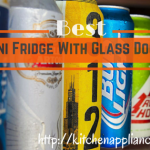 Best Mini Fridge With Glass Door