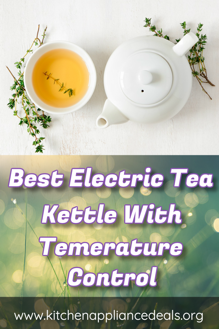 electric tea kettle with temperature control