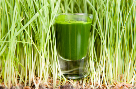 will any juicer work for wheatgrass