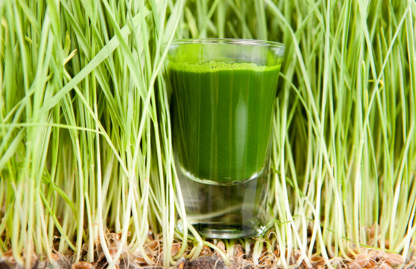 will any juicer work for wheatgrass