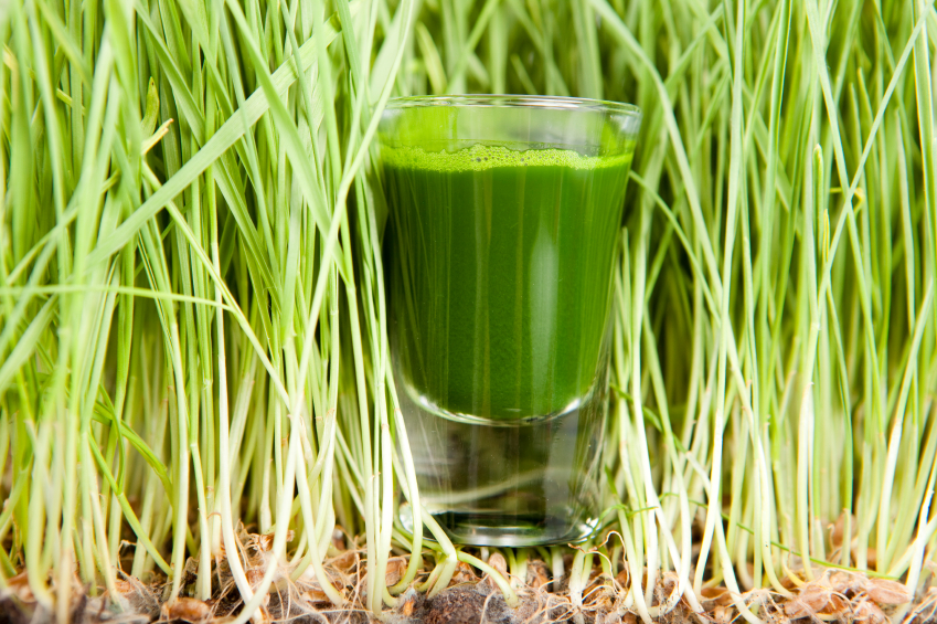 will any juicer work for wheatgrass