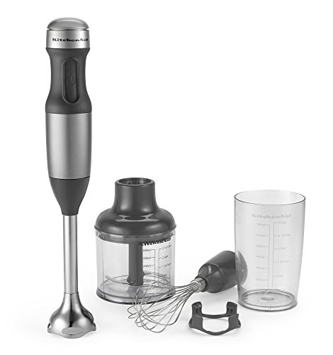 best immersion blender reviews