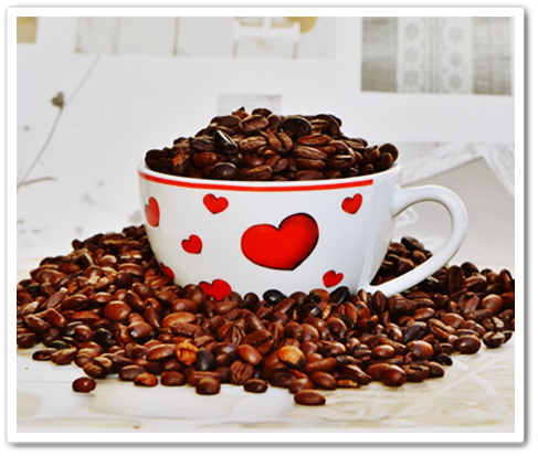 what are the features of a drip coffee maker