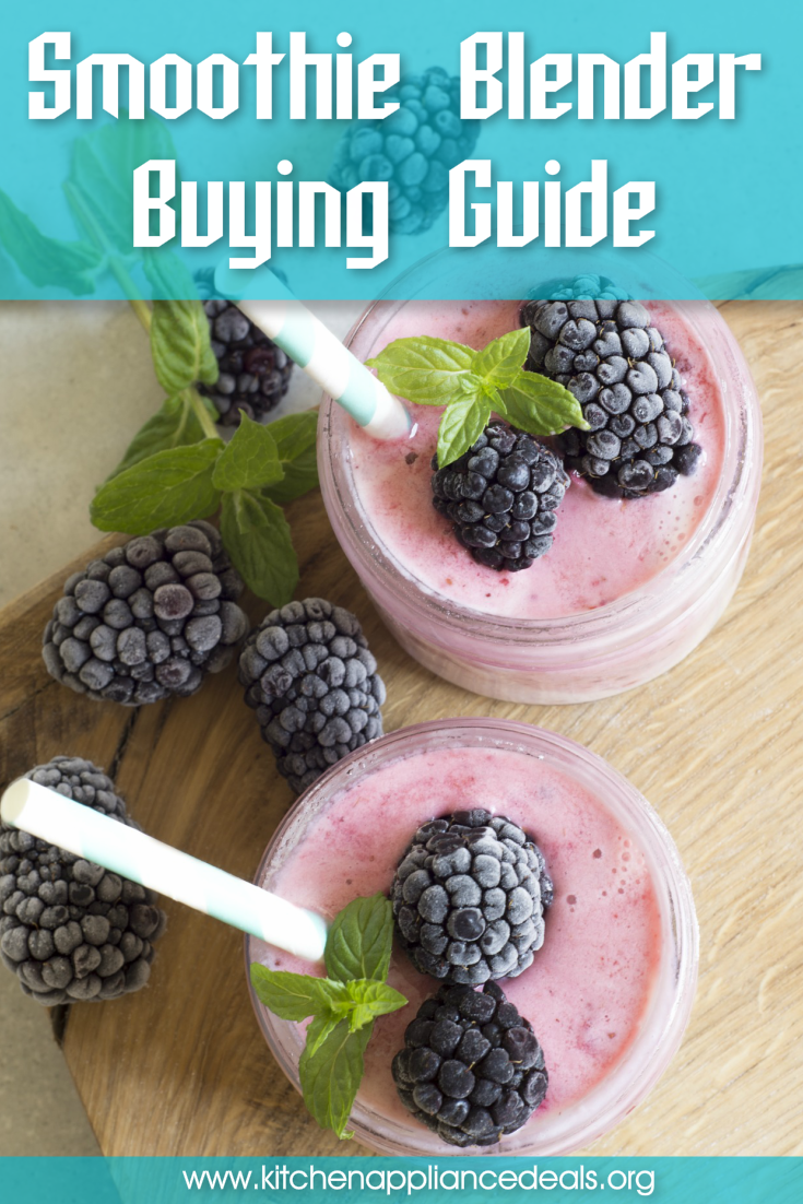 best smoothie blender under 100 dollars