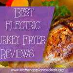 Best Electric Turkey Fryer Reviews