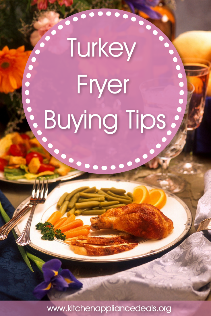 best electric turkey fryer reviews
