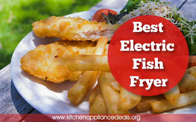best deep fryer for fish