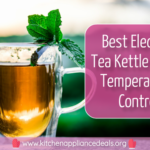 Best Electric Tea Kettle With Temperature Control To Buy