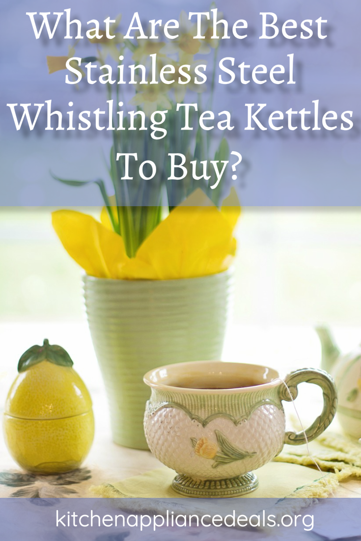 stainless steel whistling tea kettles